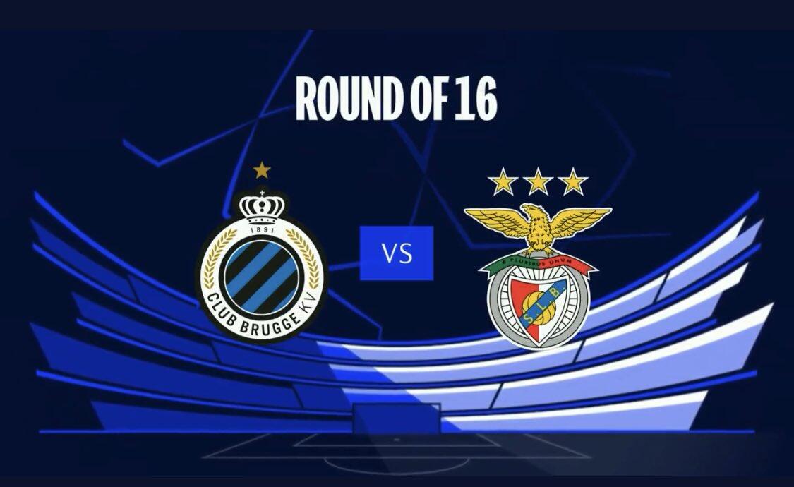 球的标志性 球的标志性